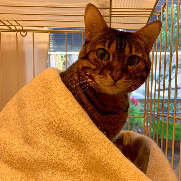 7ad56358 e74c 4a91 bda0 560d6d5ec619 1546123094416