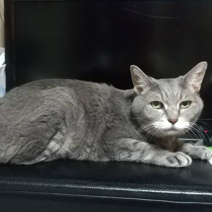 7ad5639a 0424 4634 a63e f1a6eaa3272a 1663547456172