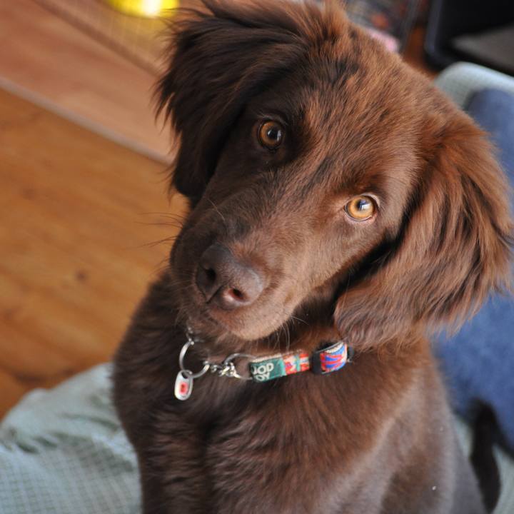 7ad614fb 8daa 4698 8ae3 b3df68697c4c 1555376265713