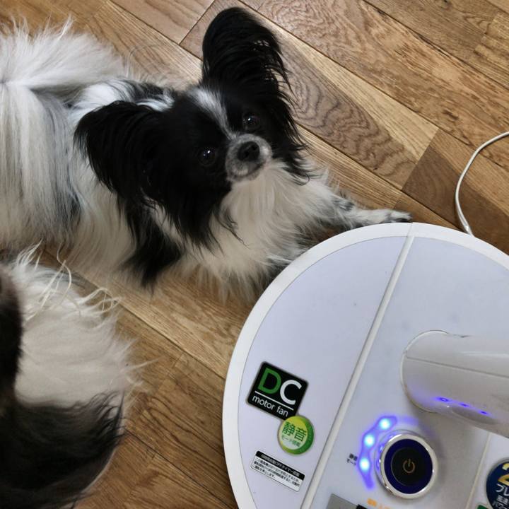 7ad63b61 6c33 4e07 b600 052fa74ecd63 1524267735452