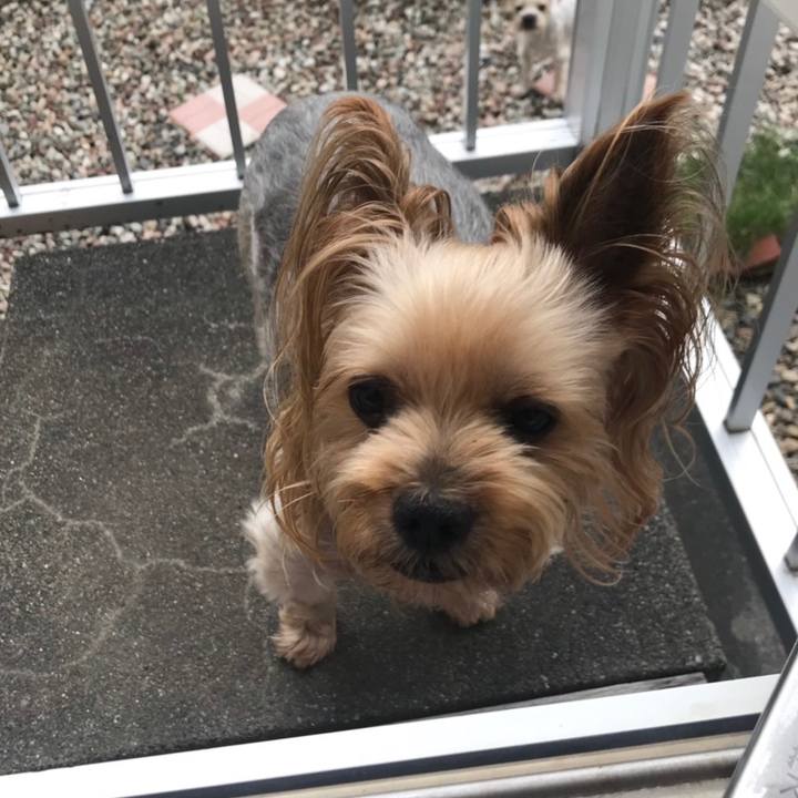 7ad6512b 5b0a 403b b69a 861b5219f381 1565952909765