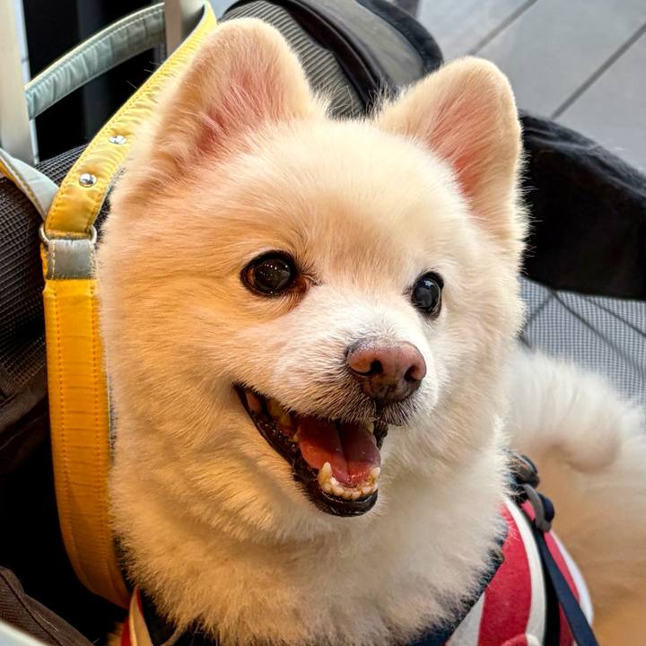 7ad65710 4b24 468a a777 f97572f74aa5 1770040982729