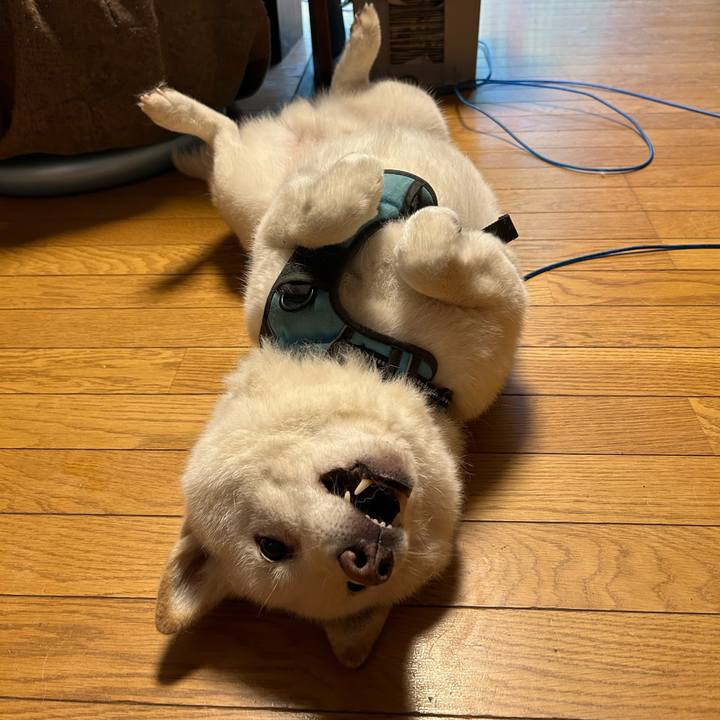 7ad65e65 80c1 47eb b356 111d78b70901 1722322804187