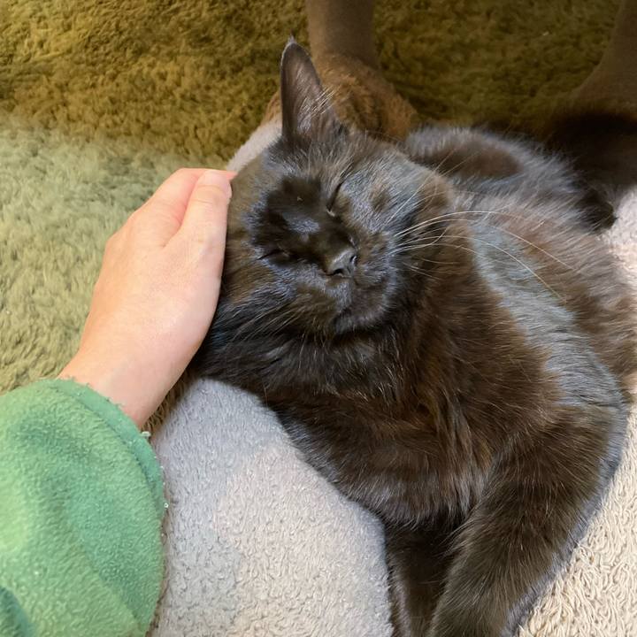 7ad667d8 0af7 49e6 9323 833791c4d4bb 1734238003501