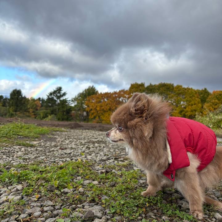 7ad6812f afbf 49ad 8ae3 11112cbfcf71 1762049156207