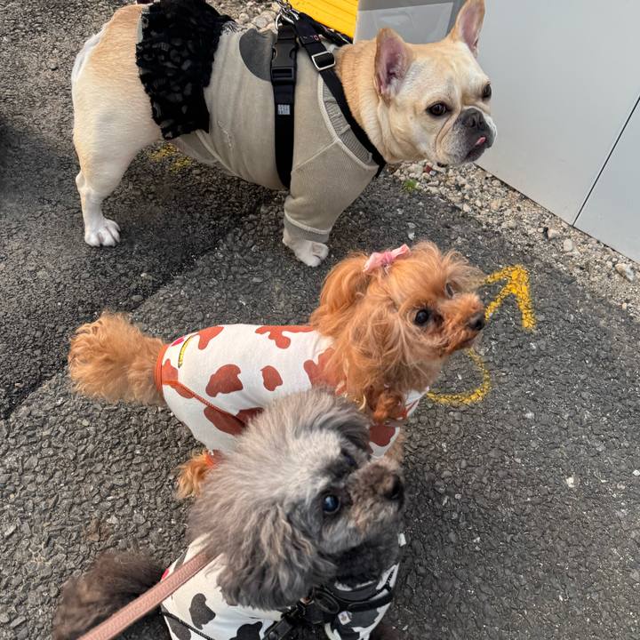 7ad6a99a 3ba5 4375 9dd6 9d90ac5b9091 1747006866157