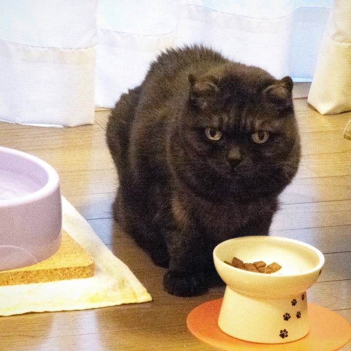 7ad6e7fc 9961 4949 8a0c b2c4dd8daaf7 1586516695378