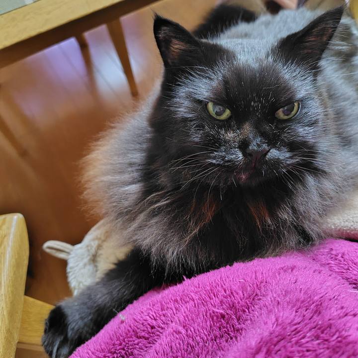 7ad71685 ecde 4325 8bb4 9739fff0c98b 1734086891409