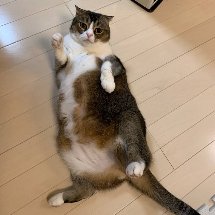 7ad72213 4746 4f35 801e 017f05b36f6e 1608649628460