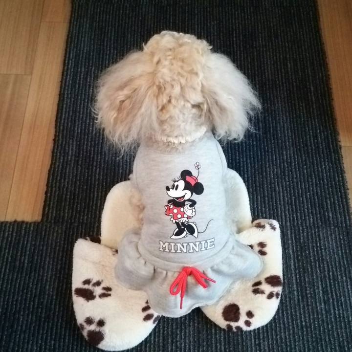 7ad7ad16 b325 46d0 9bc3 0bde258cb6dc 1521287208926