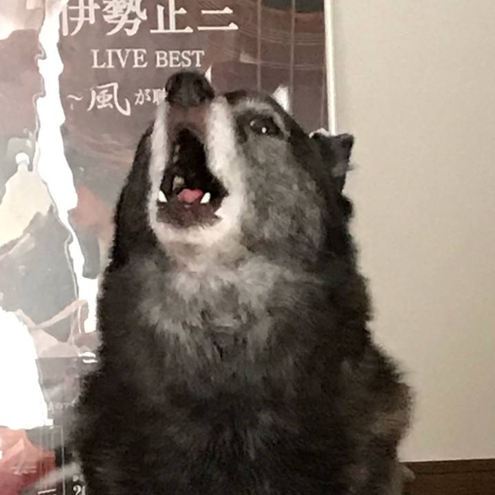 7ad7c262 719b 4d0e 8ef9 b26c65363cb7 1540092053964