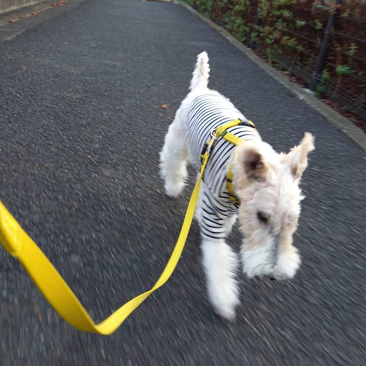 7ad7d1fe 4f88 404e 8ecd ce4b86dbba54 1635377120490