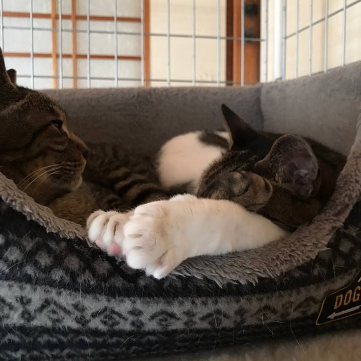 7ad8dadc a60d 4dd3 8e1f 1d2e9695083e 1529630885682