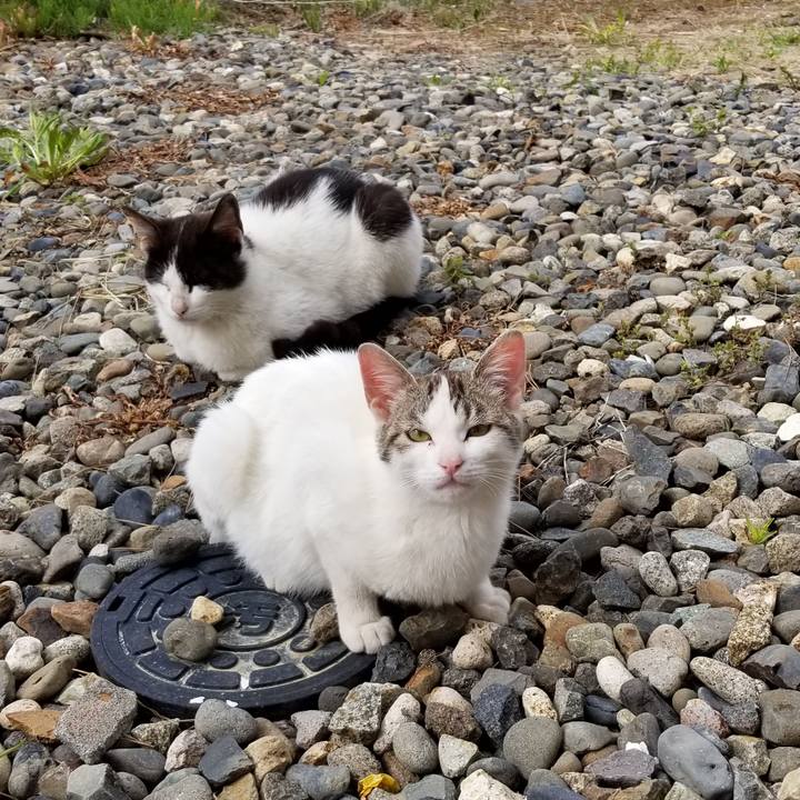 7ad90d4f 1f04 4bdb bbf9 5e7c17bf5b5a 1559263502507