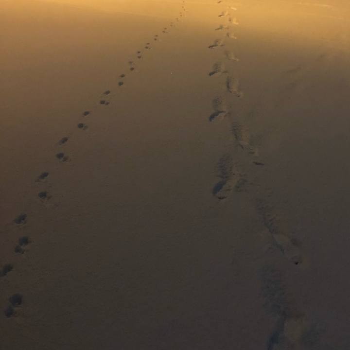 7ad929e4 0fe9 472d a352 cfc02c419ad8 1615247834884