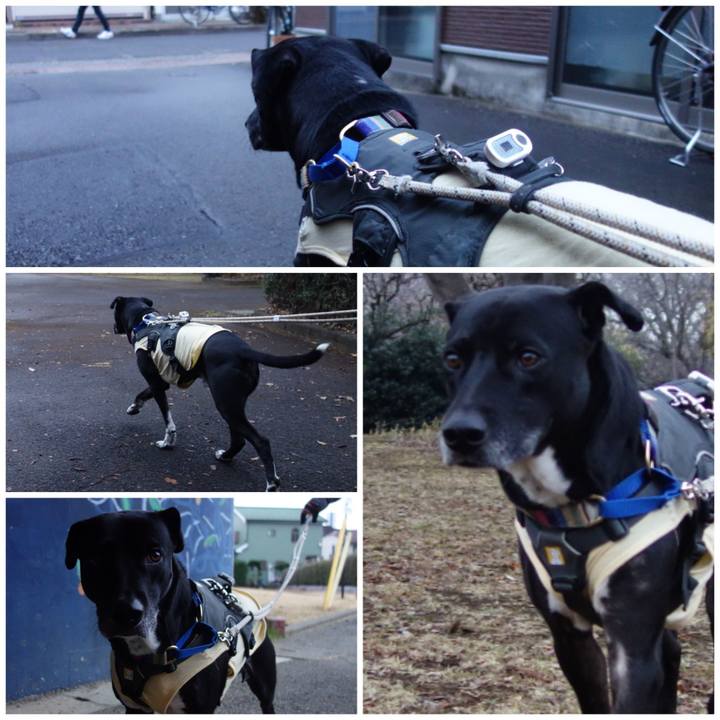 7ad92a91 77b5 44cf baa2 c36f40eba119 1643157637661