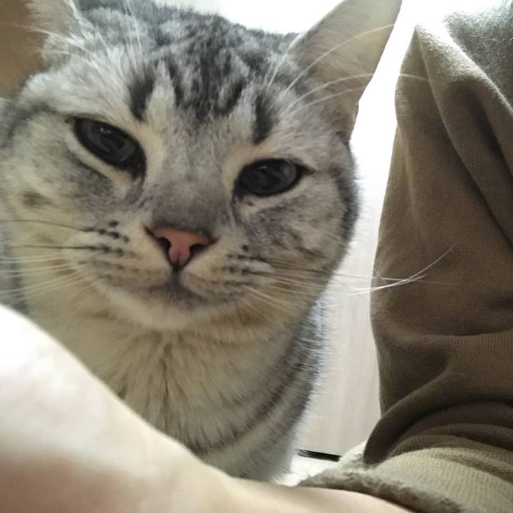 7ad933b1 2a49 4c8f 9880 f7959e5740e8 1515329331448