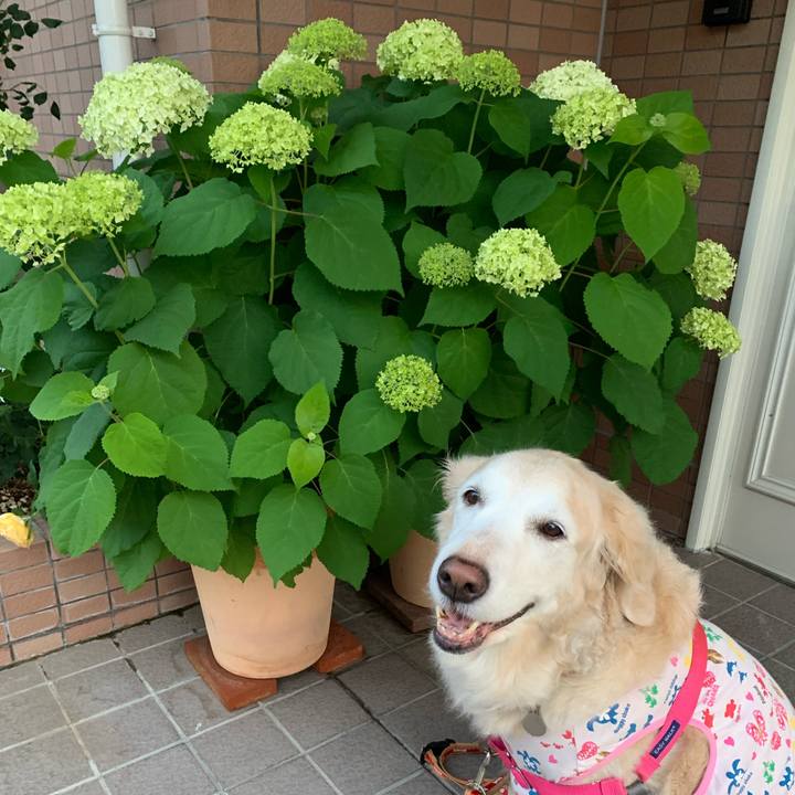 7ad97fde db6b 4b8e 9b9d b15d4ac006a3 1685133675322