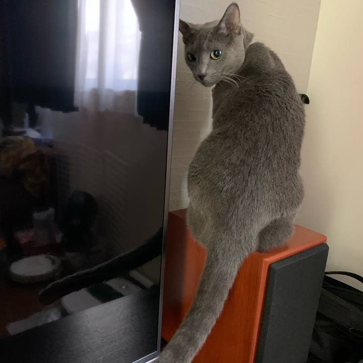 7ad9806a a65d 4869 9f7b 35146c278097 1627716291072