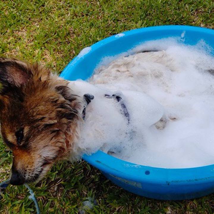 7ad9dd0d 30f2 4220 8d40 12d3350fe3a9 1627820154664