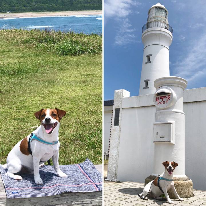 7ada0449 e0c1 404a 91aa f32383d67a01 1561429789676