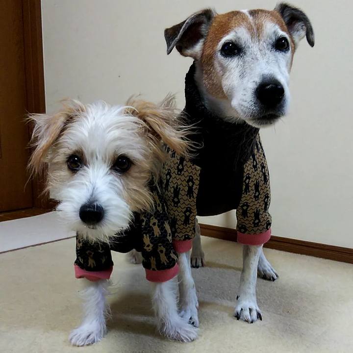 7ada0a67 b132 41e6 b453 0819dfb3f107 1539955081531