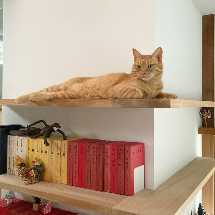 7ada1501 1613 4c5e a121 e5cd5ad7206c 1626998165220