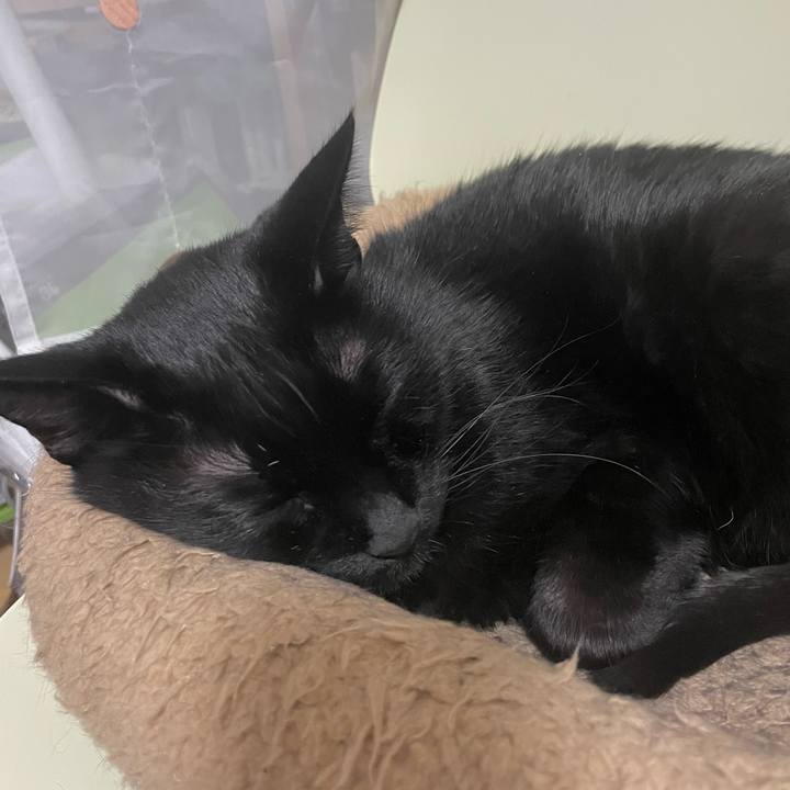 7ada16f1 cf00 4090 a3cc e28c8f82f2a3 1708862484890