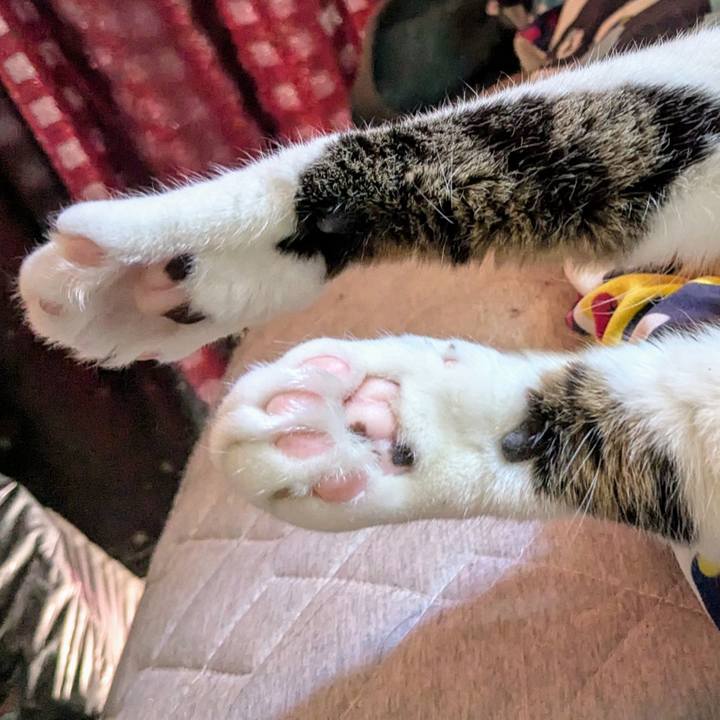 7ada23d2 7b5a 4df6 b67b 0494e7308163 1734831913909