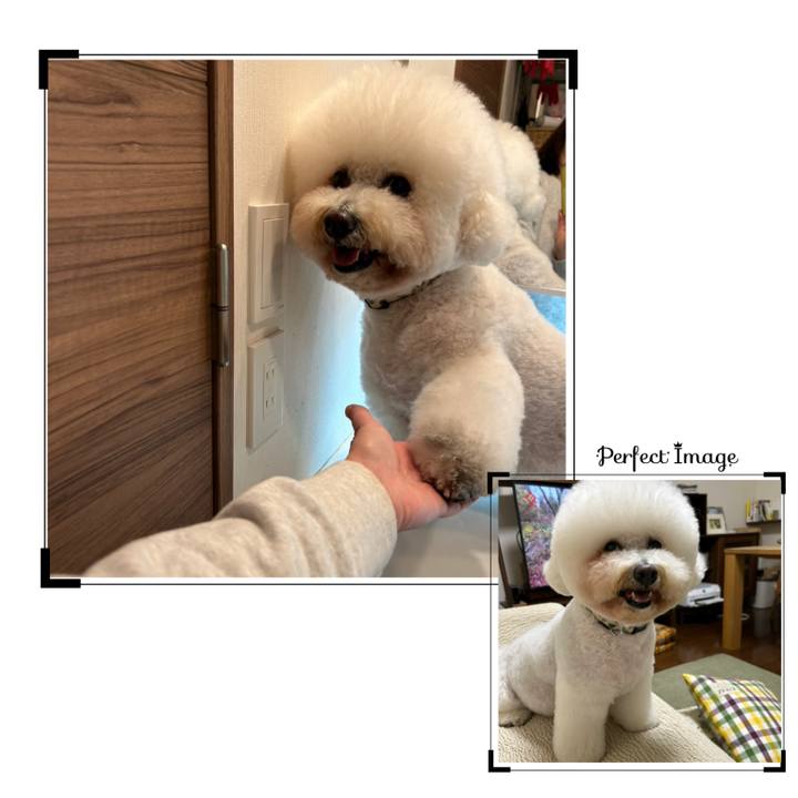 7ada2ca2 b1a7 4fe1 8dde a5ee9da90eeb 1763602953083