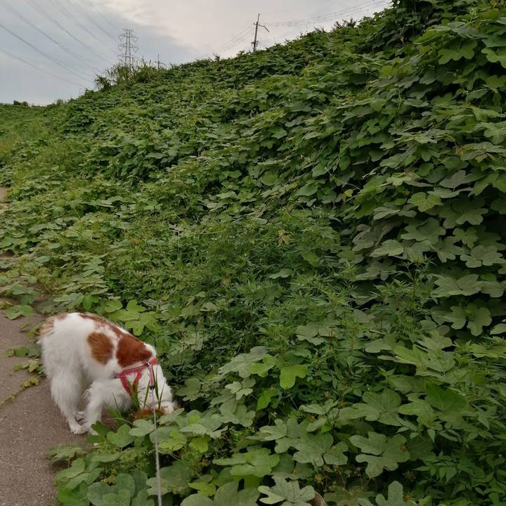 7ada5bd0 5fa8 4ded a00e 79598179a264 1600605818045