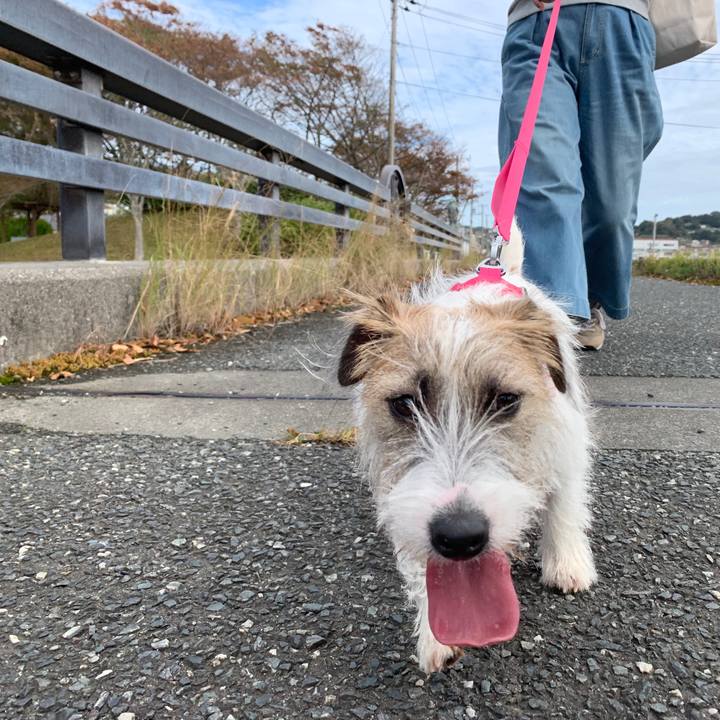 7ada7536 e969 40fa 99e8 9c7b6d8c723d 1571574175079