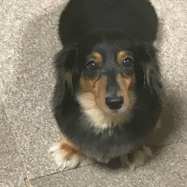 7ada7c2a c07f 4494 8070 3dd78b0a458d 1537132293490