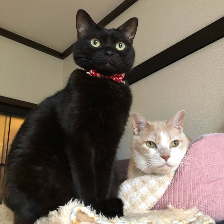 7ada8026 c94e 4437 95c4 1090ad50564d 1614929451531