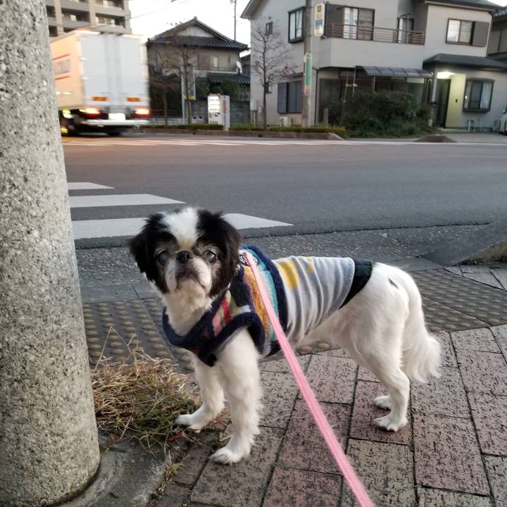 7ada8b4d b3ea 4992 82ba 38397d08c90a 1605565192118