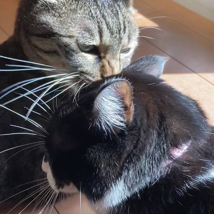 7adac110 036e 4054 b0d2 5cec8d8e0462 1613180131798