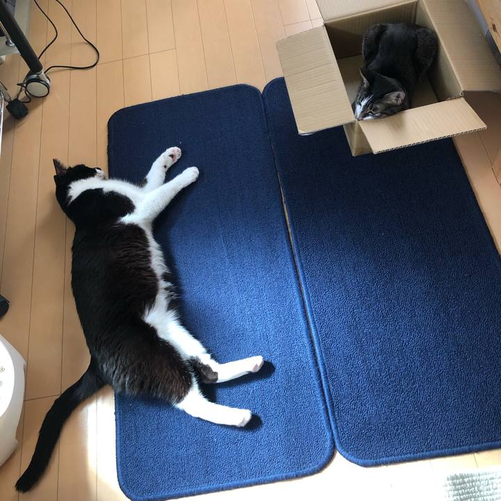 7adac4cc 3fd7 4d18 ace5 82bd4de76e54 1632255914650