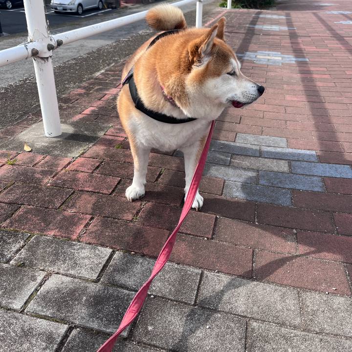 7adac671 da15 446c 8945 266c75cef73e 1703647620236