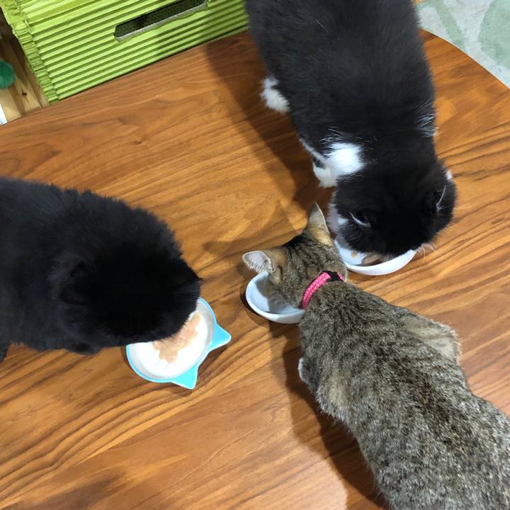 7adad68a 9f17 4b74 8b58 a15d4370d702 1567871085802