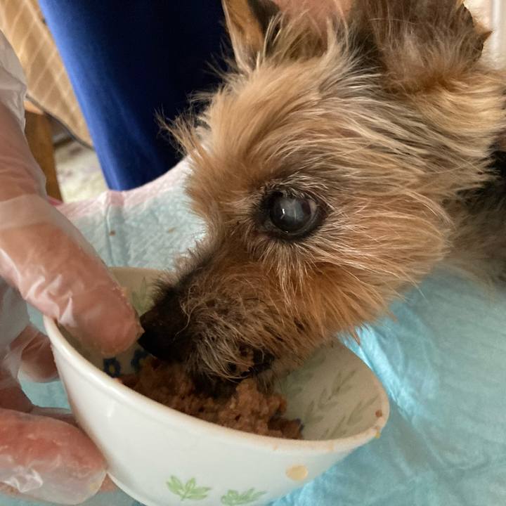 7adae3a8 3eee 42b9 9ed1 b3d56560d7ba 1691898391846