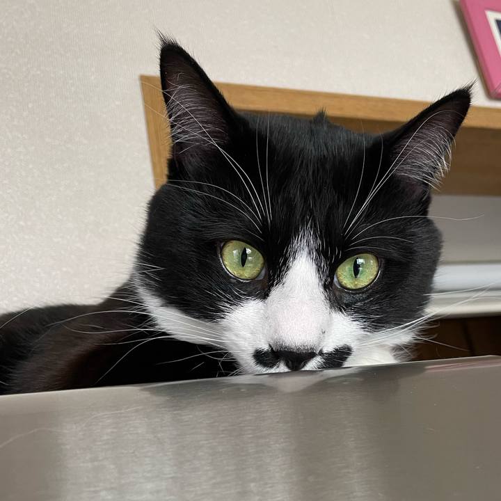 7adaf570 6d9e 4584 876c 8acefa41bafb 1650419727873