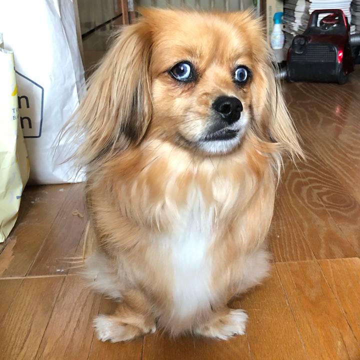 7adb2050 a2f1 4a1f a77e 495a06c3226c 1556929470358