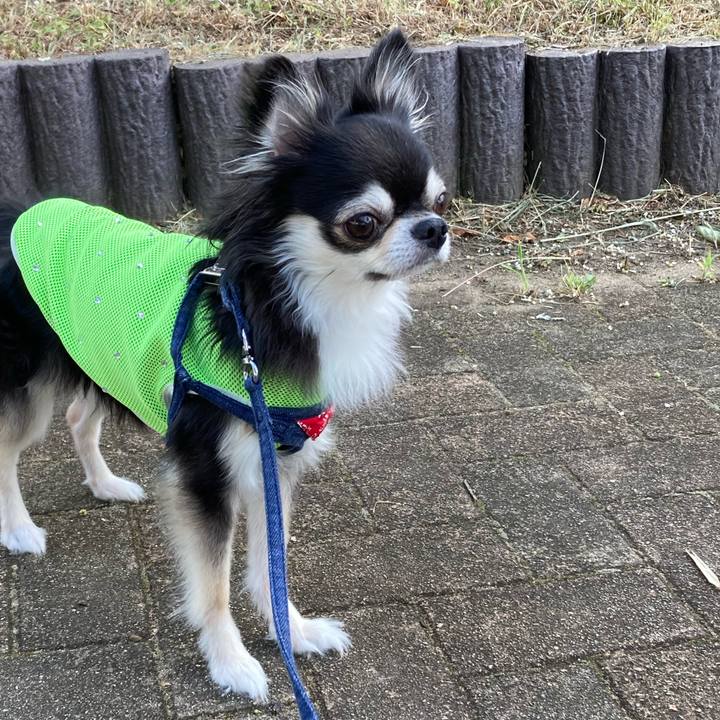 7adb26cf 2673 4563 97b0 100b3c43a8b6 1690036918454