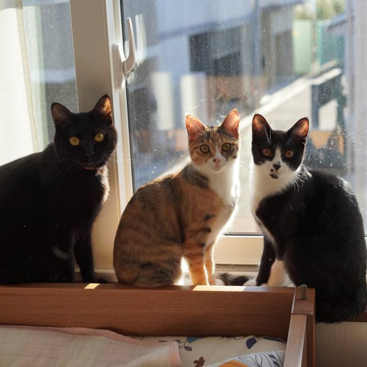 7adb357f ca8c 4bd1 8657 90b420ad5e81 1580559892972