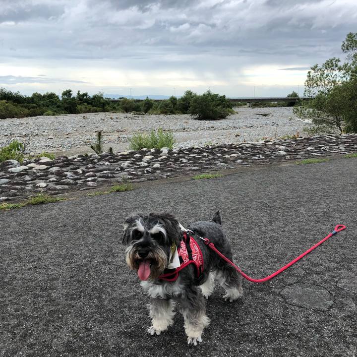 7adb5560 964e 4173 8a83 d5ec94816cfd 1565935290493