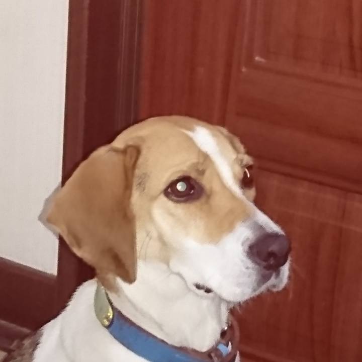 7adb7d81 ae7b 4141 8e81 ea3135e034c5 1574413352977