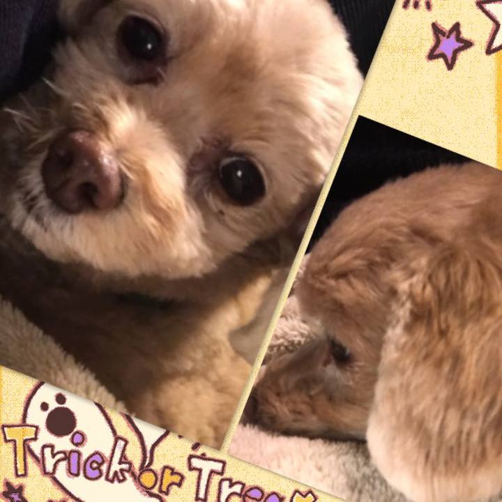 7adb8c14 d982 4880 8405 9c7e21bd34e3 1509410137123