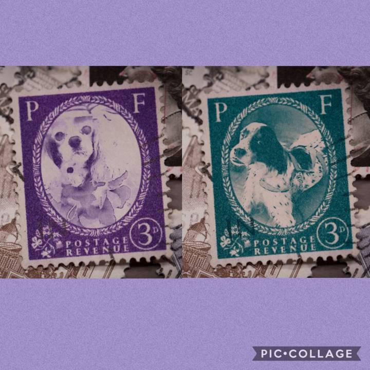 7adbab15 44e9 4535 8d45 86ce7a6403fd 1569920033226