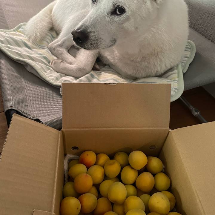 7adbad8d ff9a 4fc2 aa0b 3f2d81366e94 1718359288968