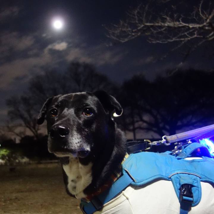 7adbb6c1 957d 4da7 92f9 c006d5edbfc9 1703675306967